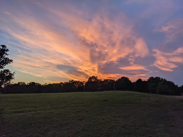 Shawnee Mission Park Disc Golf Course