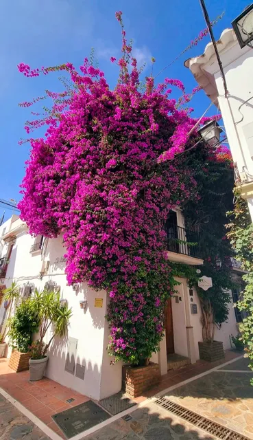 Hotel La Villa Marbella