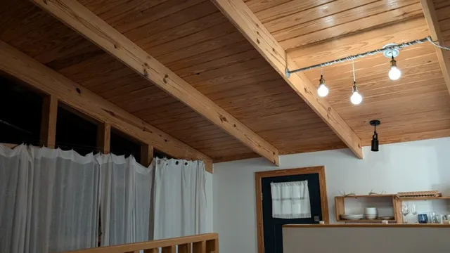 The Sapling by HoneyTree