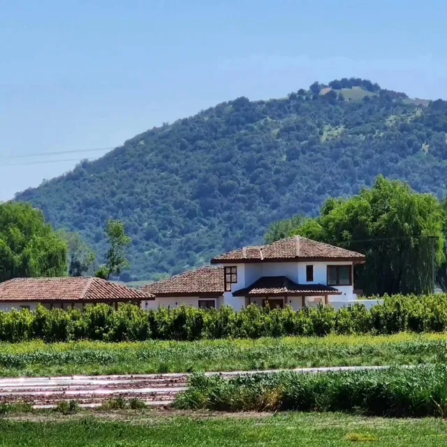 Colchagua Valley, Chile