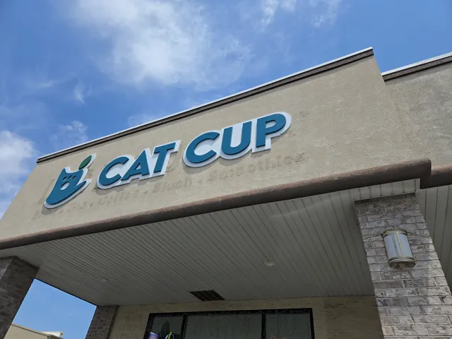 Cat Cup