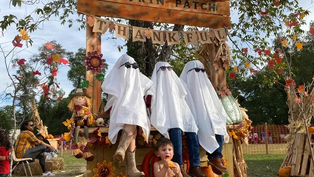 H-Town Pumpkin Patch Fest