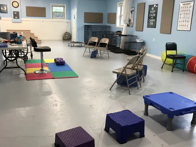 Whole Dog University