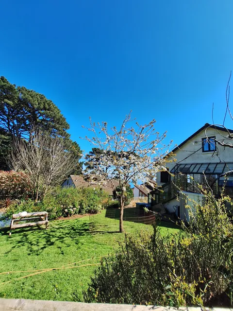 Norwegian Wood.organicbxb.