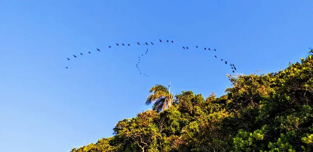 Hostel Porto Vidigal