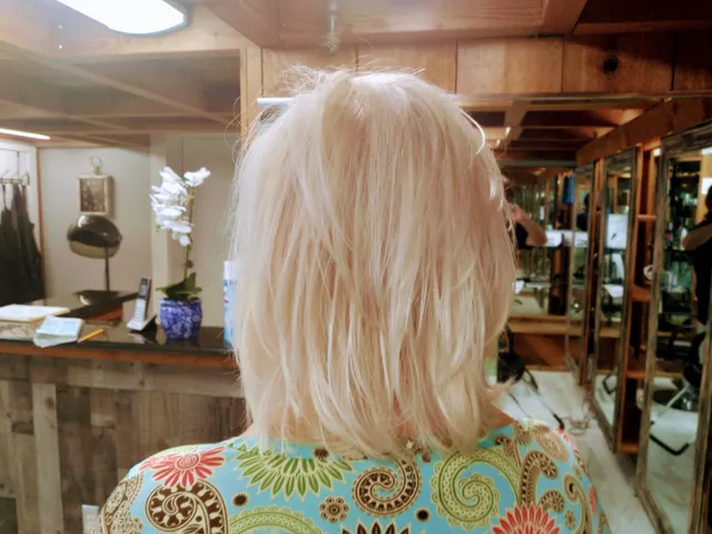 Paris Hair Design Salon by Raphael