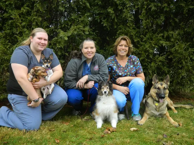 Health & Wellness Animal Hospital