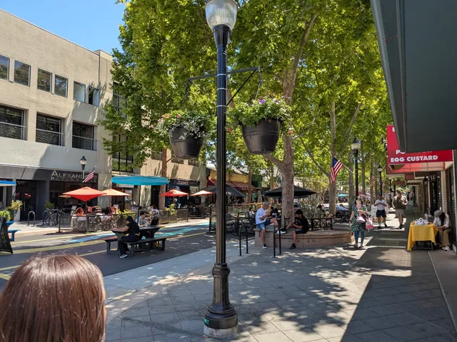 Castro Street Mountain View