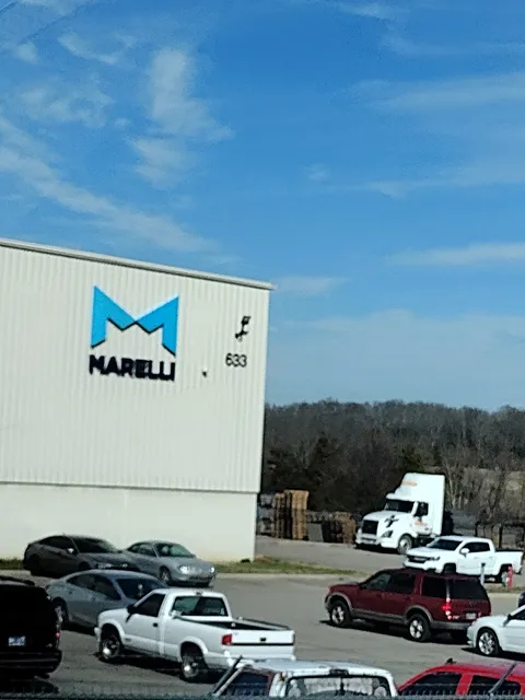 Marelli