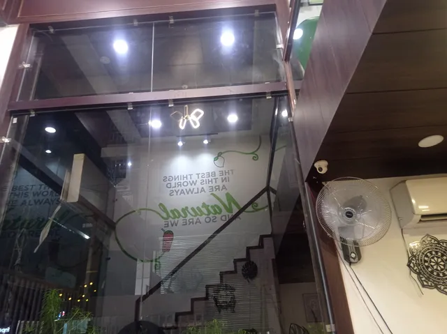 Scoops Go-Pure Natural ICE Cream