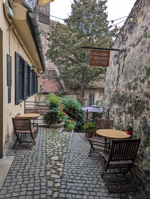 Restaurant Pivnita de vinuri Weinkeller