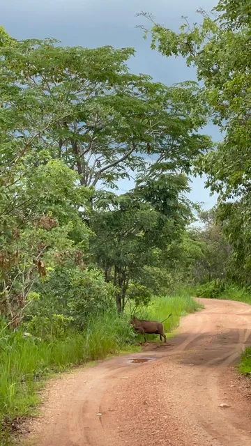 Lusaka National Park