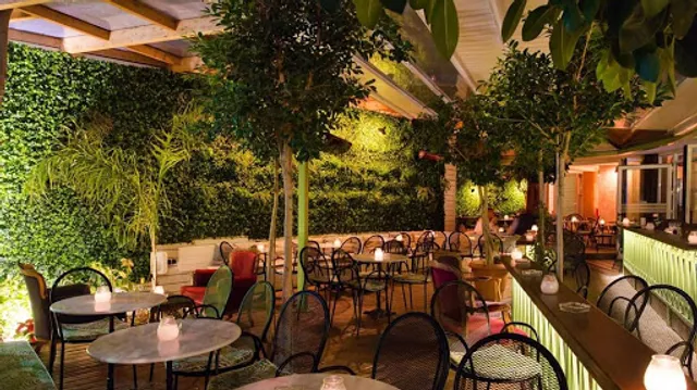 Butterfly All Day Bar