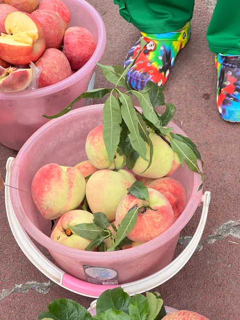 Lashihai Service Area Restaurant