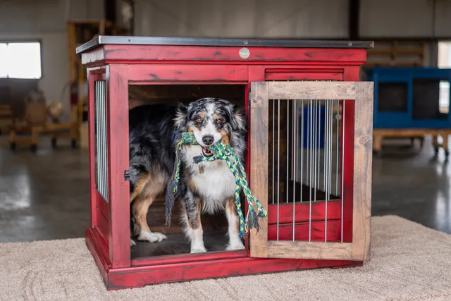 Kennel and Crate