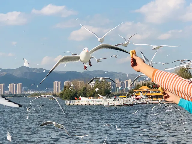 Dianchi Sleeping Beauty Restaurant