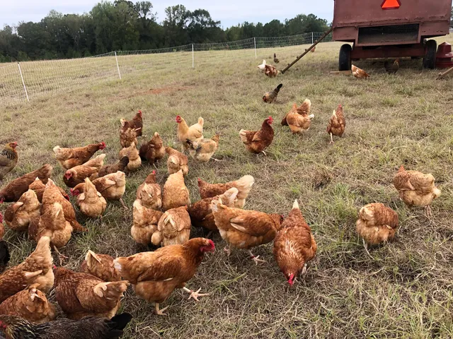 Greenway Farms of Georgia, LLC