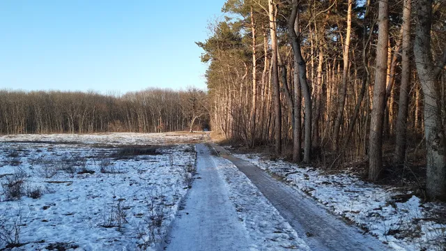 Debrecen "Big Forest" Nature Conservation Area
