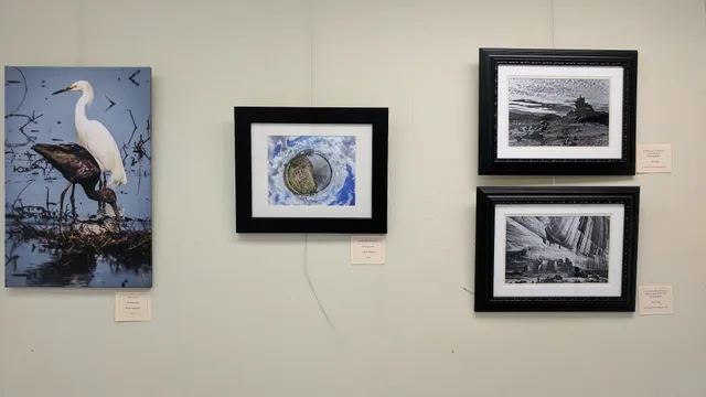 Arts Council Livingston Parish