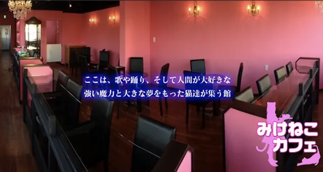Maid Cafe “Mikeneko Cafe” Kiyose Store