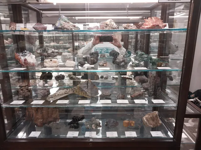 Richard L. Sutton Jr. Geosciences Museum