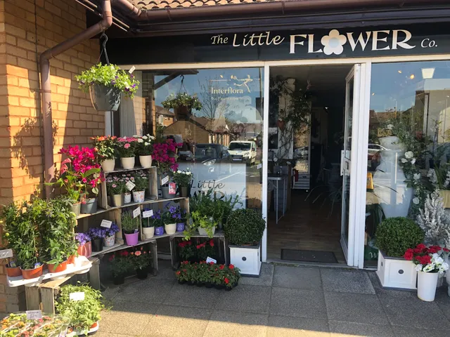 The Little Flower Co