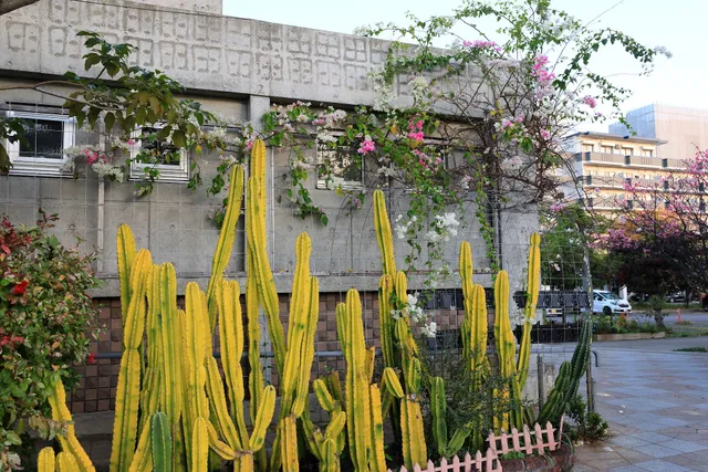 Naha CIty Greening center