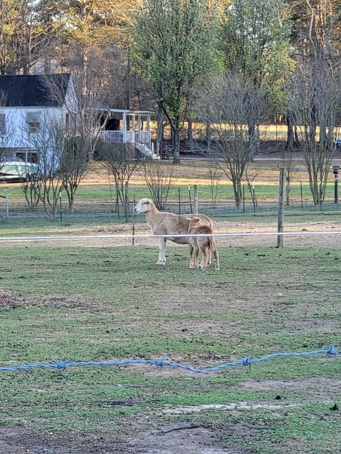 The Smith Family Ranch