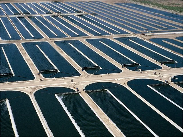 Earthrise Nutritionals