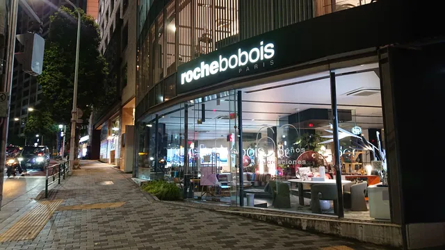 roche bobois