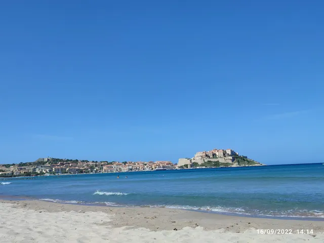 Arinella di Calvi
