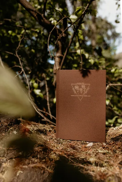 Butterfly and Bee Co.