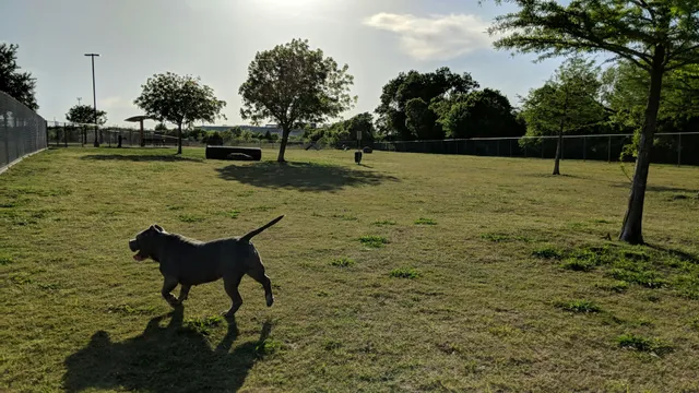 Central Bark Dog Park