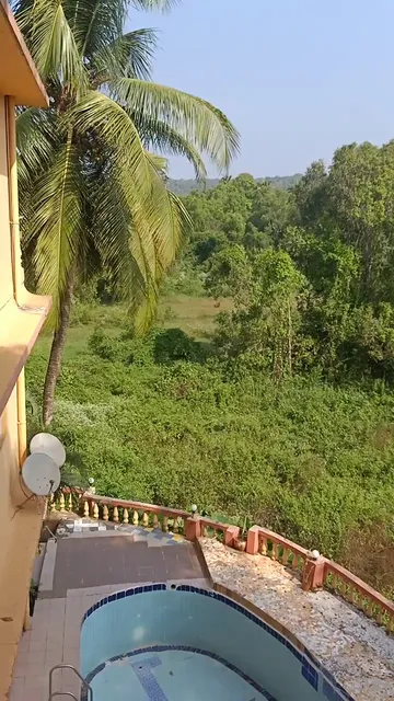 Prop Live under GOA3683