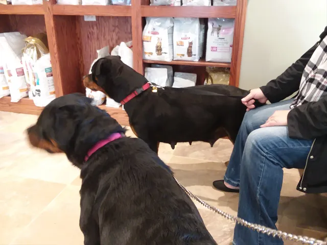 Camden Animal Clinic