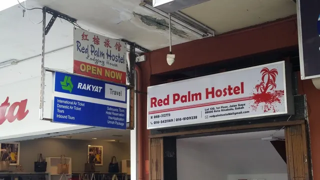 Red Palm Hostel