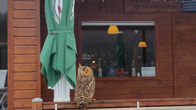 Chalet D'n Observant