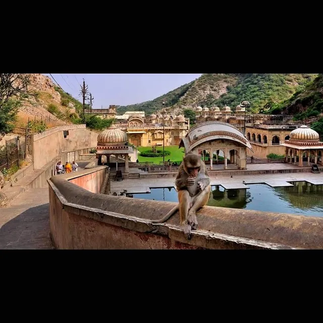 Pink City Backpackers Hostel