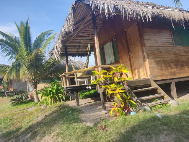 Kamala Surf & Backpacker Hostel