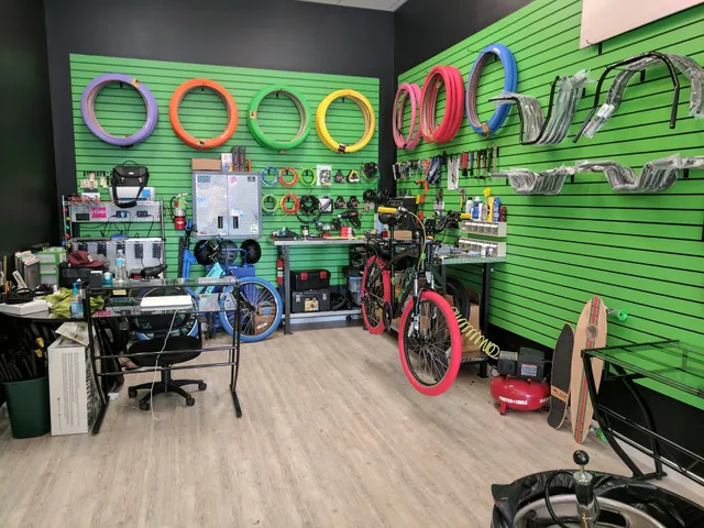 FLAUNT Electric Vehicles