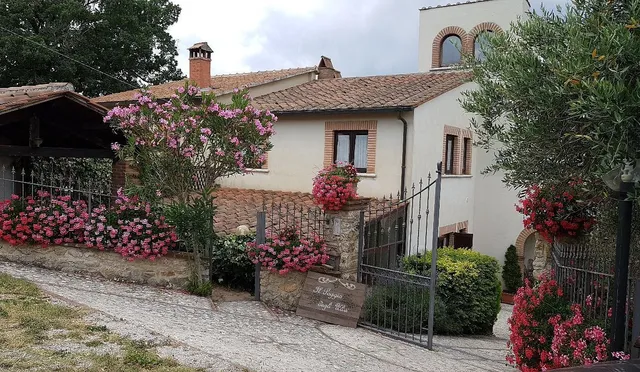 Il Poggio Degli Ulivi