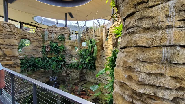Hummingbird Habitat