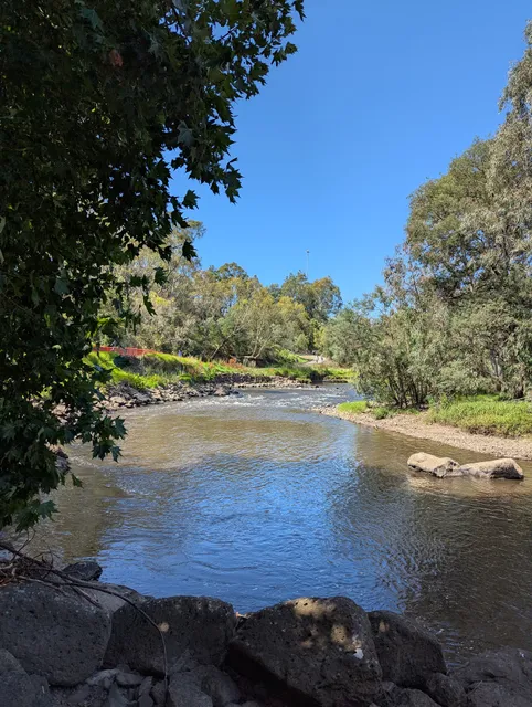 Yarra Bend Park