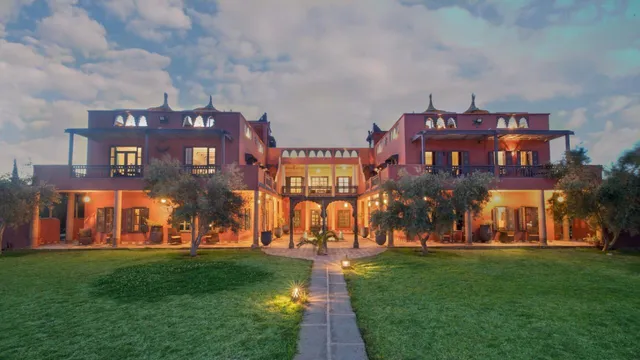 Le Chant Des Oliviers