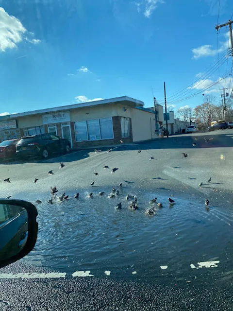 American Latinos Deli & Grocery