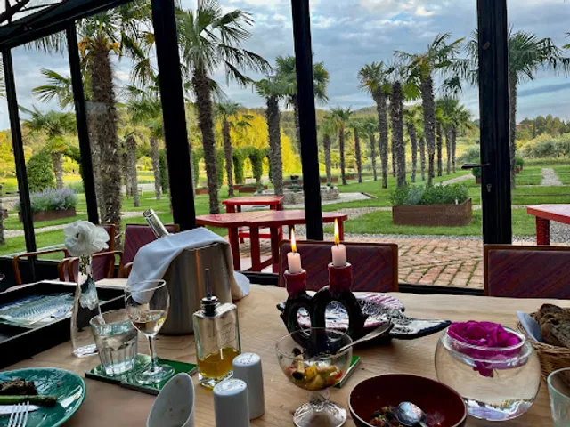 Le Platane des ANDEOLS