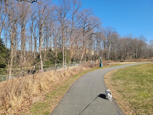 United States Constitutional Bicentennial Historic Grove