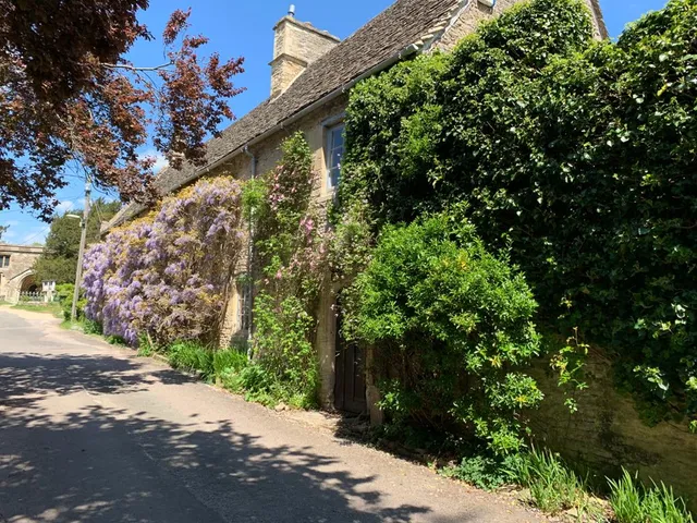 Pytts House Boutique Bed & Breakfast