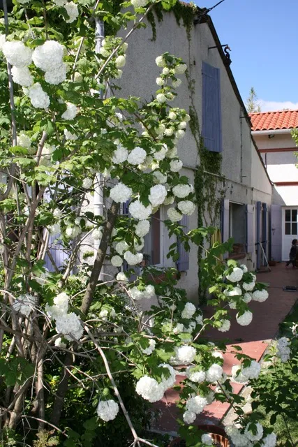 Gite Chambres d´Hotes Toulouse: Les Esquirols