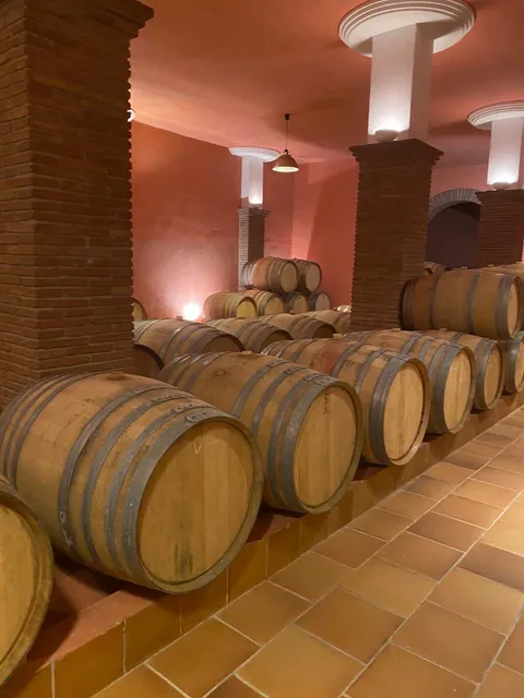 Bodegas Conrad